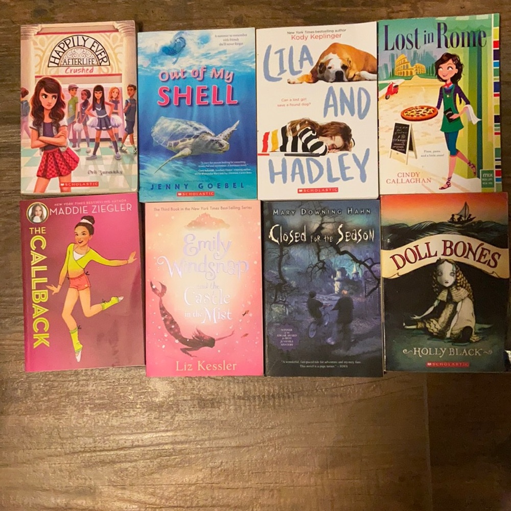 Chapter Reading Books: Lot of 8